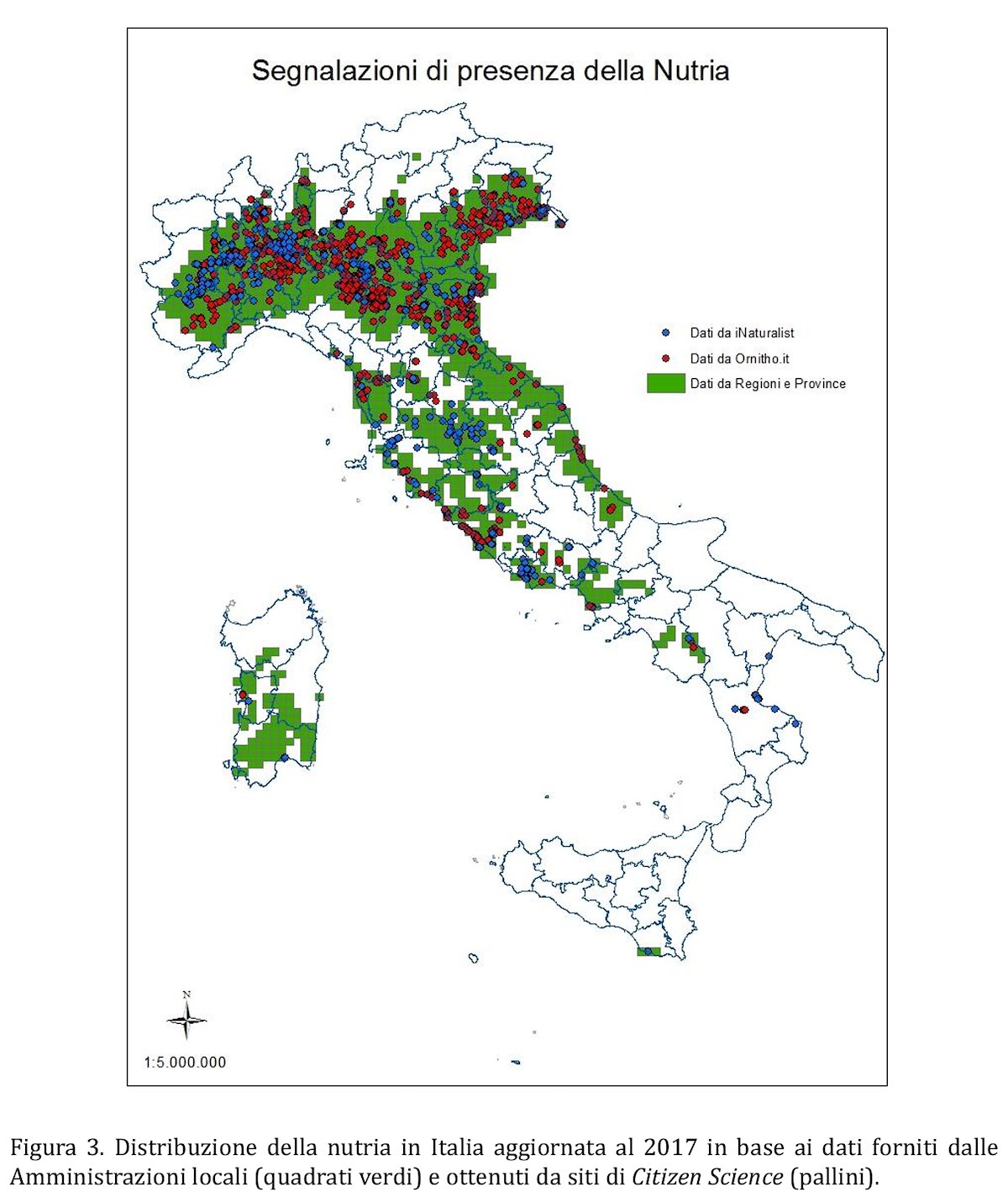 Distribuzione della nutria in Italia aggiornata al 2017